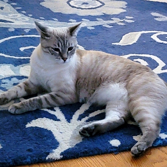 Meet your Posher, Just - Picture 1 of 1